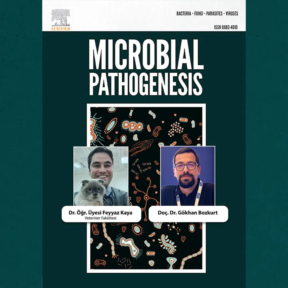 BAÜN Akademisyeninden Keçilerin Kalp Sağlığına Dair Yeni Bilimsel Bulgular