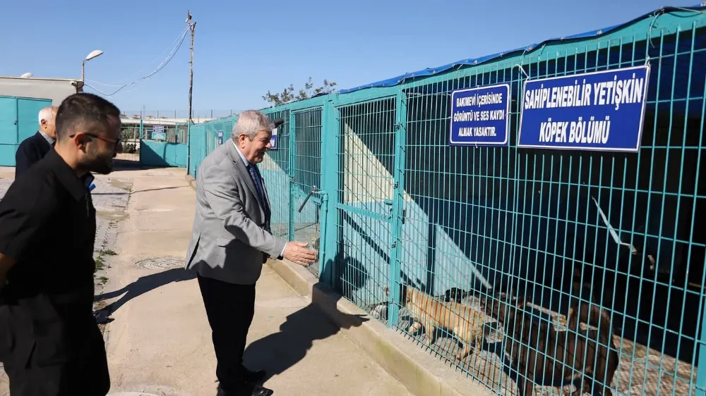 BANDIRMA BELEDİYESİ’NDEN SOKAK HAYVANLARI İÇİN KARARLI ADIM