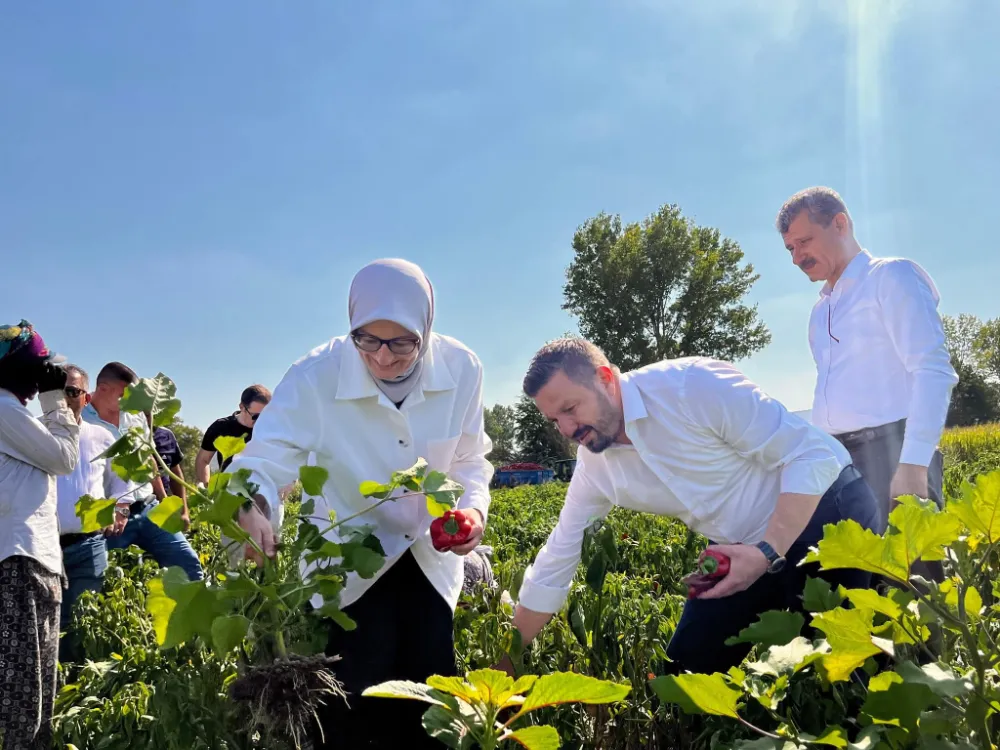 AK PARTİ İL BAŞKANI MEHMET AYDEMİR’DEN ÇİFTÇİLERE MÜJDE!