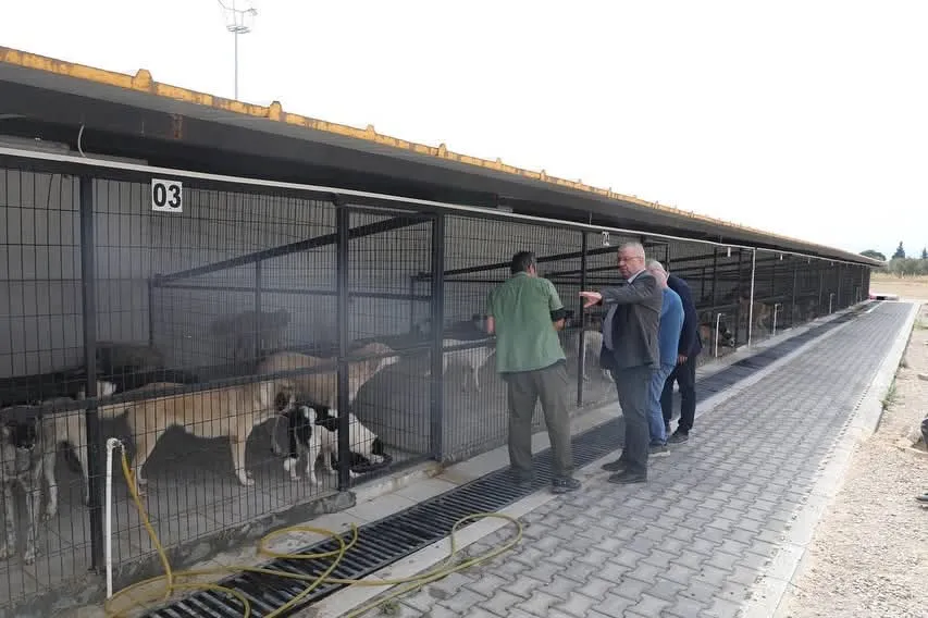 Ertaş Çıkrıkçı Barınağı Ziyaret etti 