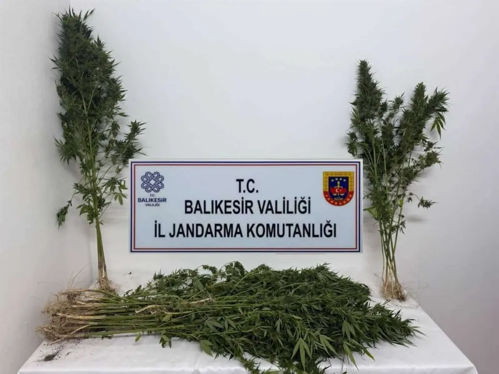 BALIKESİR İL JANDARMA KOMUTANLIĞI EKİPLERİN’DEN 8 İLÇE’DE NARKOTİK OPERASYONLARI