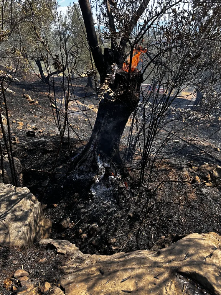 EDREMİT YOLÖREN KÖYÜNDE YANGIN